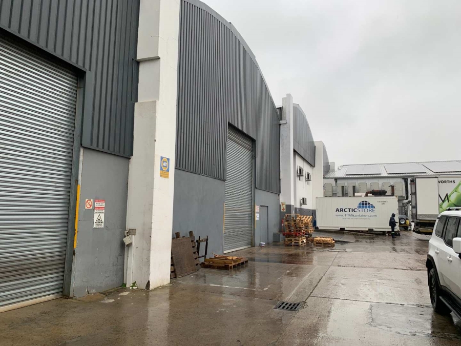 To Let commercial Property for Rent in Bella Vista Western Cape